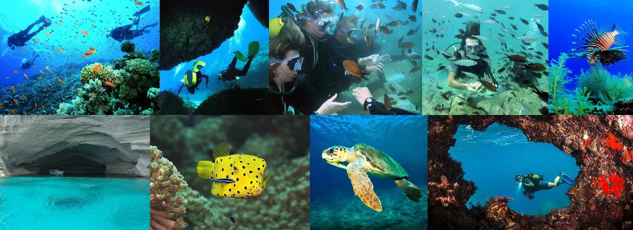 Scuba Diving